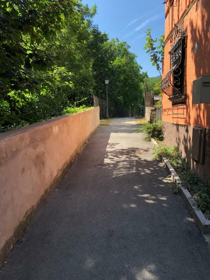 Gite "Rempart Sud" A Ribeauville Экстерьер фото